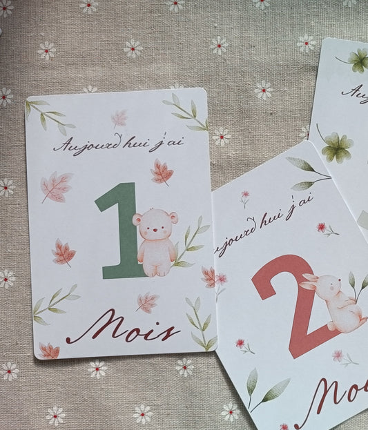 Cartes étapes " animaux de la forêt "