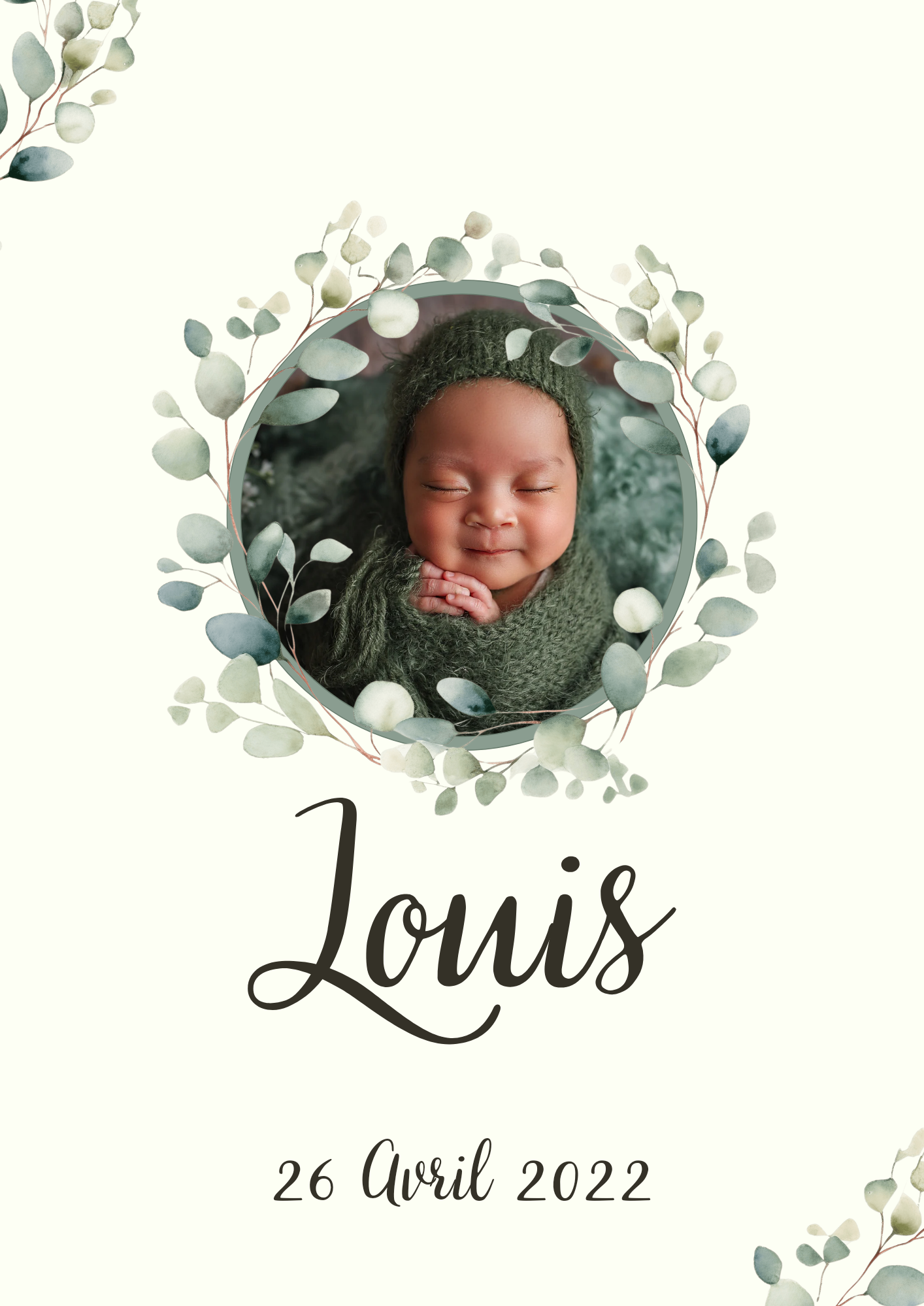 Faire part naissance " eucalyptus "
