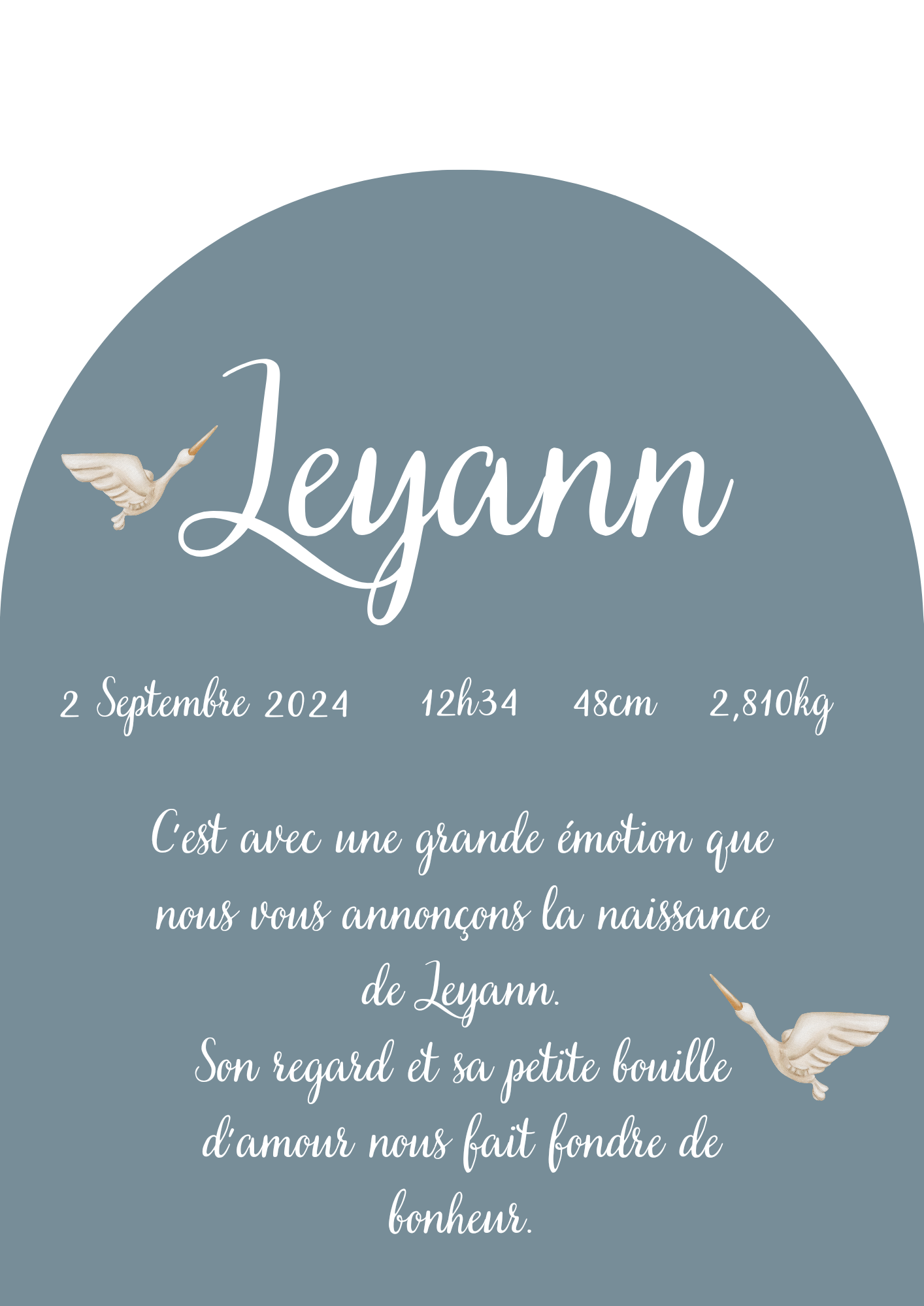 Faire part naissance garçon " arche "