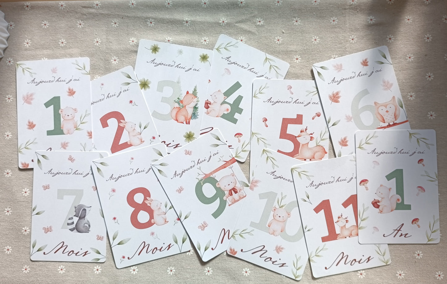 Cartes étapes " animaux de la forêt "