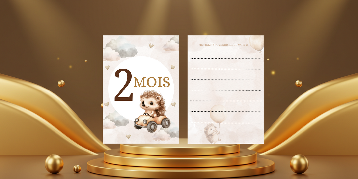 Cartes étapes bébé de 1 mois à 1 an " thème hérisson"