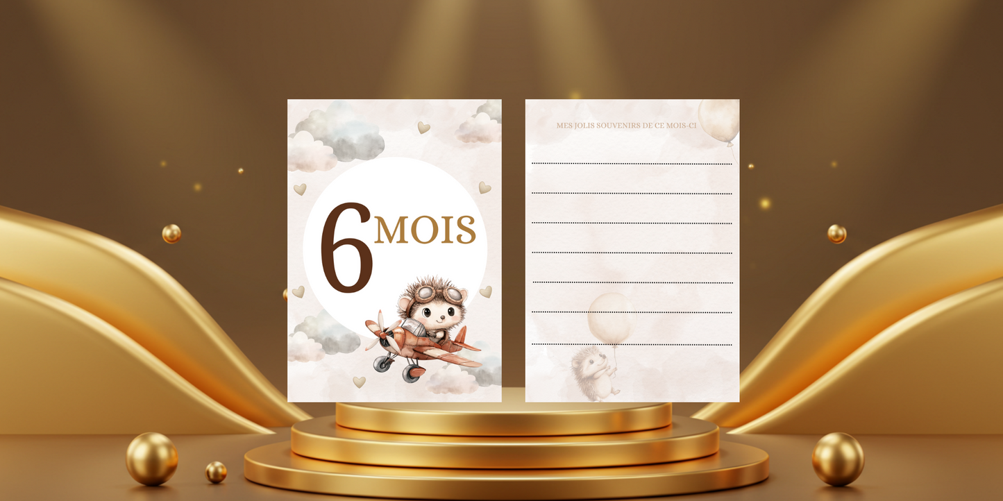 Cartes étapes bébé de 1 mois à 1 an " thème hérisson"
