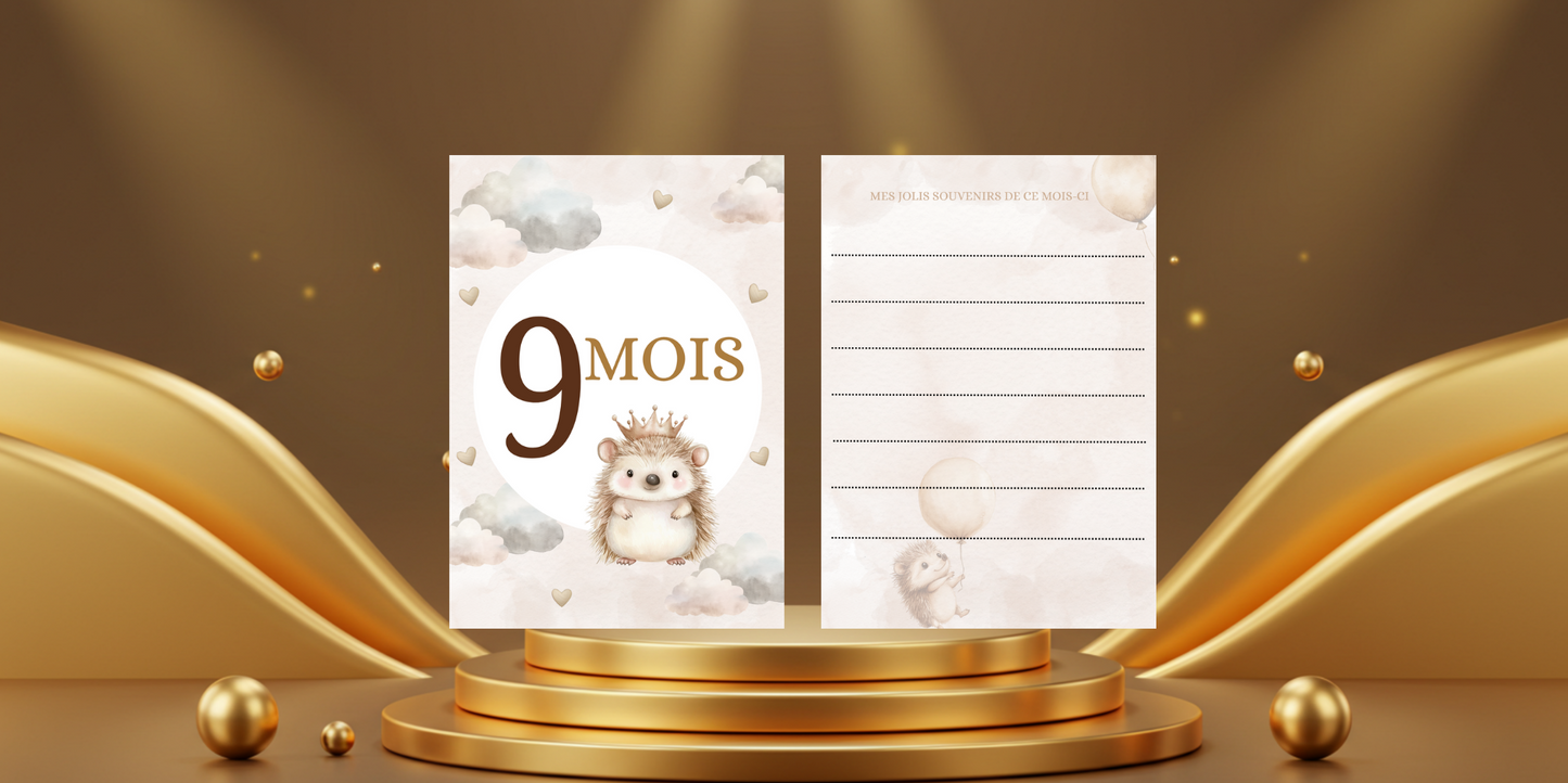 Cartes étapes bébé de 1 mois à 1 an " thème hérisson"